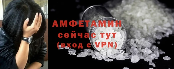 молекула духа Арсеньев