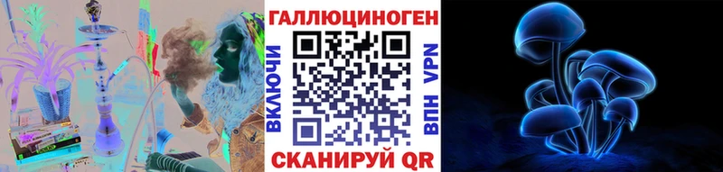 Купить  Венёв  Галлюциногенные грибы MAGIC MUSHROOMS 